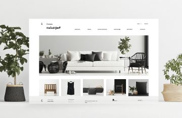 WordPress Theme Installation